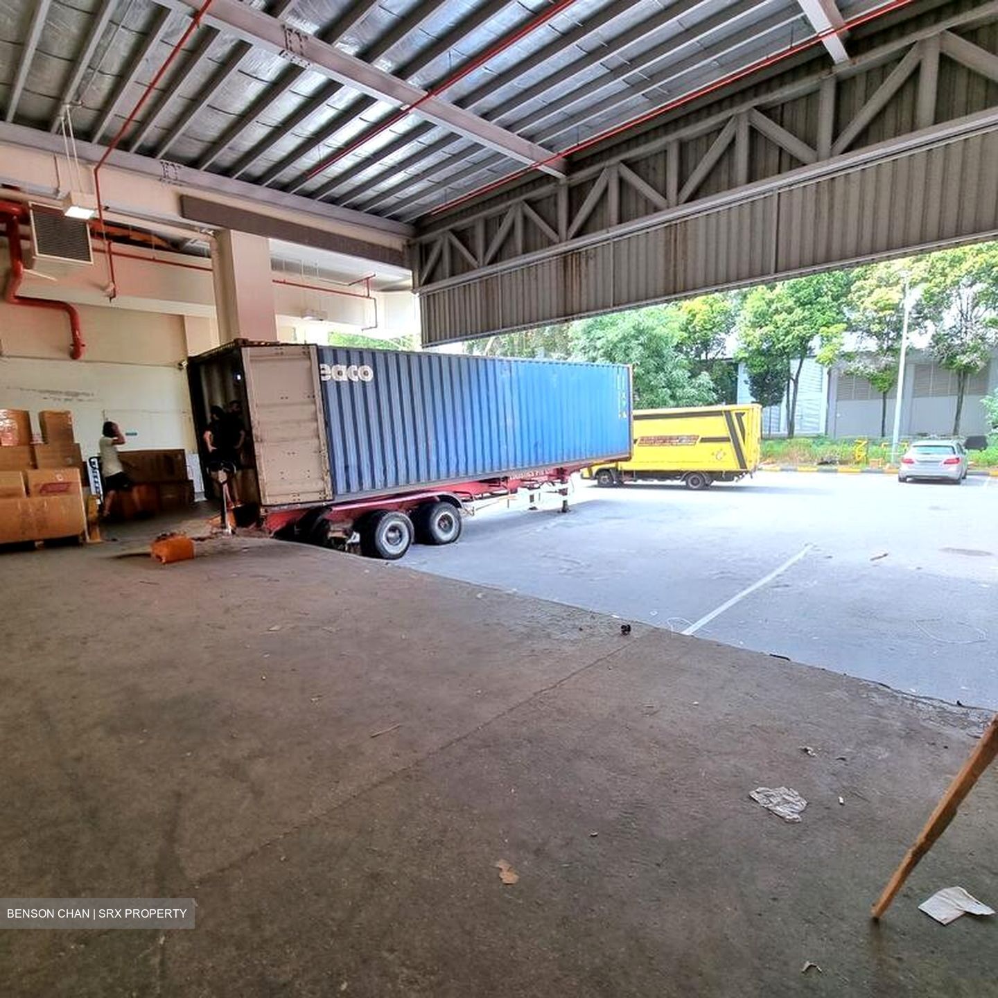 Trivex (D13), Warehouse #498874791